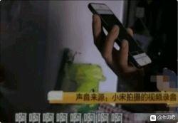 深夜邻居家总传出“叫声”，每次都要半小时，女子无法忍受：一个